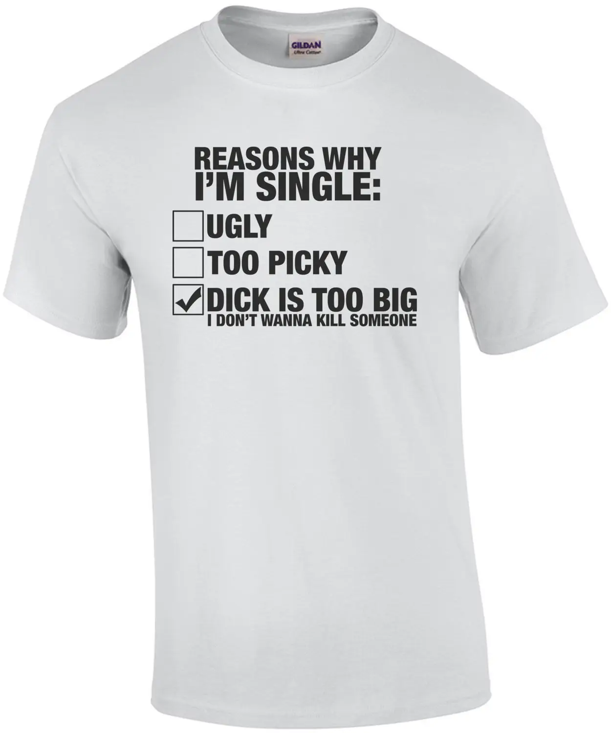 Reasons Why Im Sing… - image