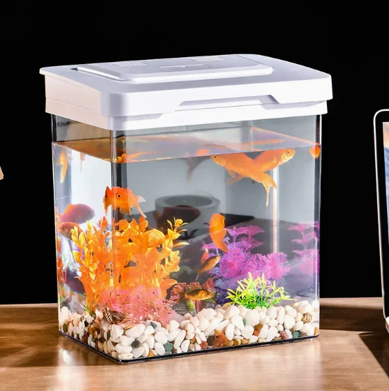 Plastic Aquarium Fish Tank Transparent Irregular Eco-friendly  Modern Living Room & Home Office Decorative Mini Fish Bowl
