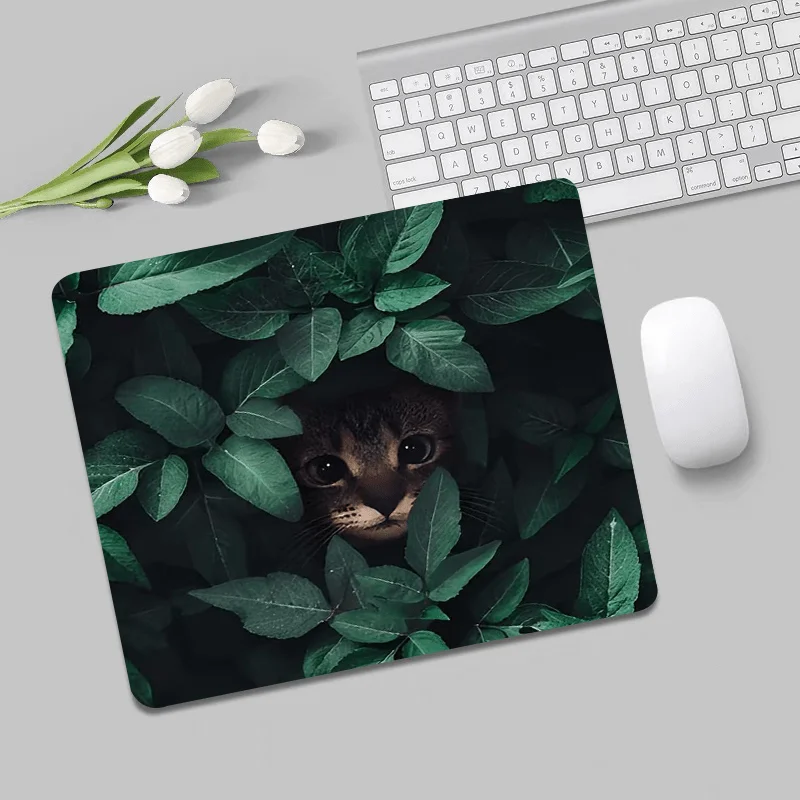 

The cat grass design anti-slip rubber mouse pad is suitable for office use, families and gamers for high-definition printing