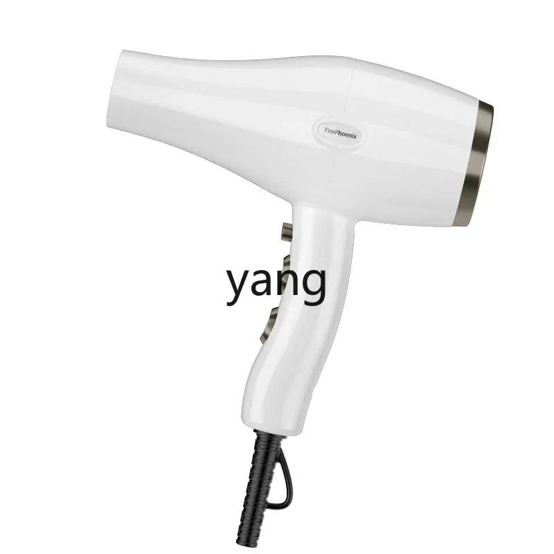 LTT High Power Quick-Drying Anion Hair Care Hair Dryer