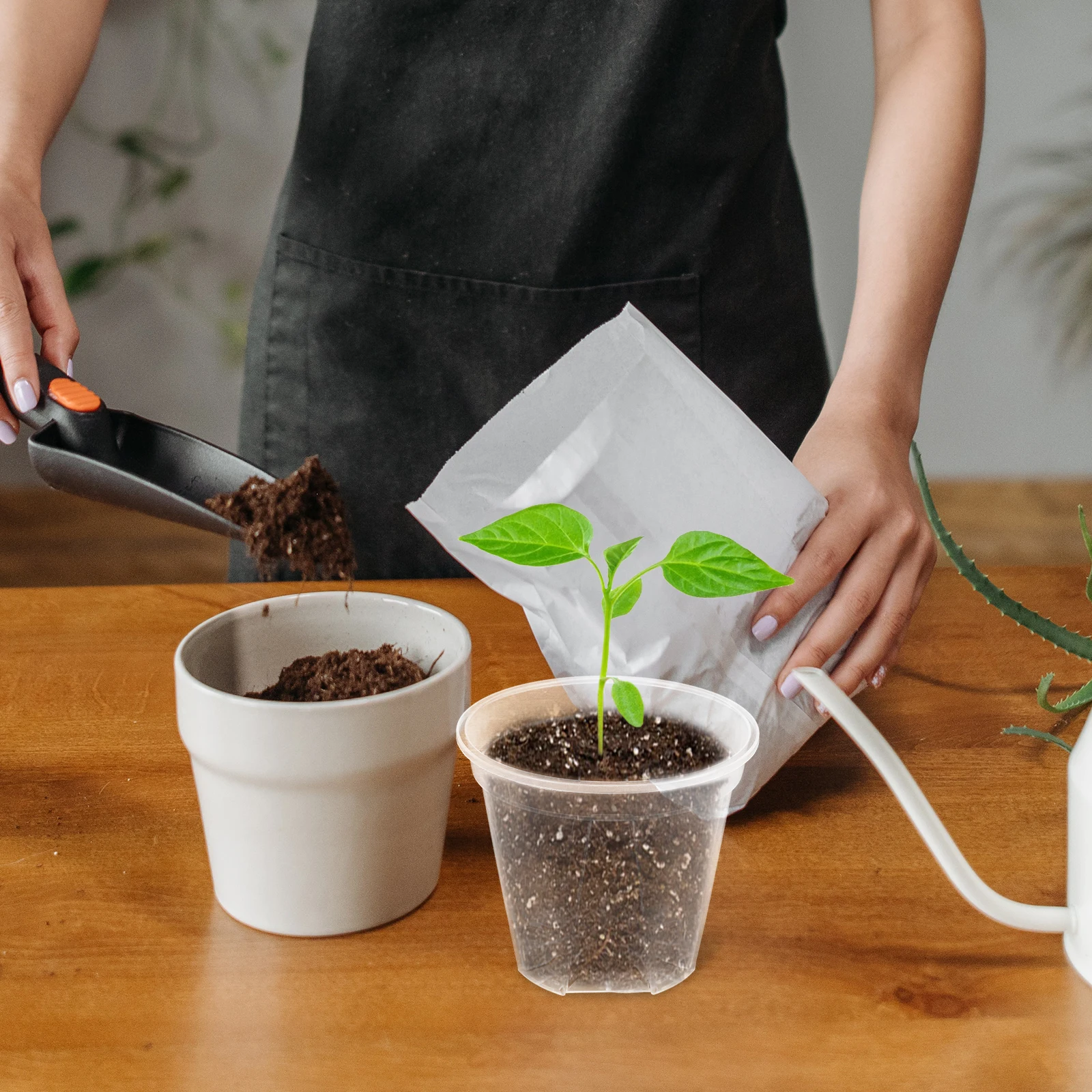 

Basin Clear Pots for Plants with Drainage Nursery Flowerpot Planter Pp Clearance Air Holders