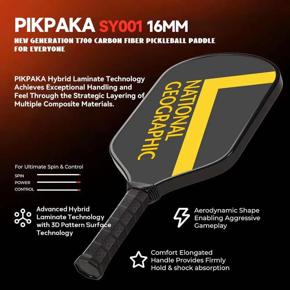 Рисунок 3 - N-National G-Geo-graphicS Pickleball