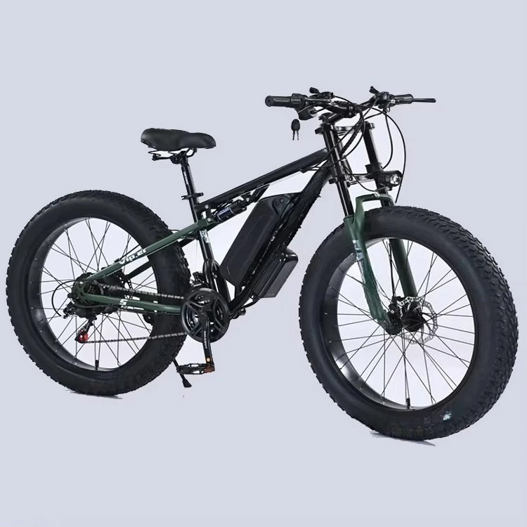 26inch Fat Tire 1000w High Power Electric Dirt Bike Adult Electric Bike Off- Road Electric Mountain Bikes