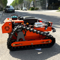 Customized CE Certified New Design Cutting Width 500mm Self-Propelled Crawler Design  Remote Control Lawn Mowing Robot