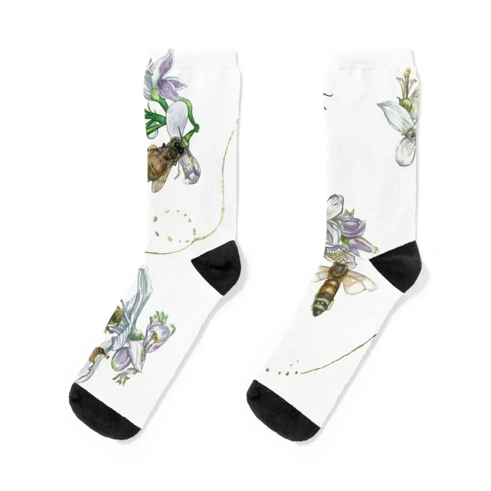 

Bee Symphony Socks essential cool winter sheer Socks For Women Men's