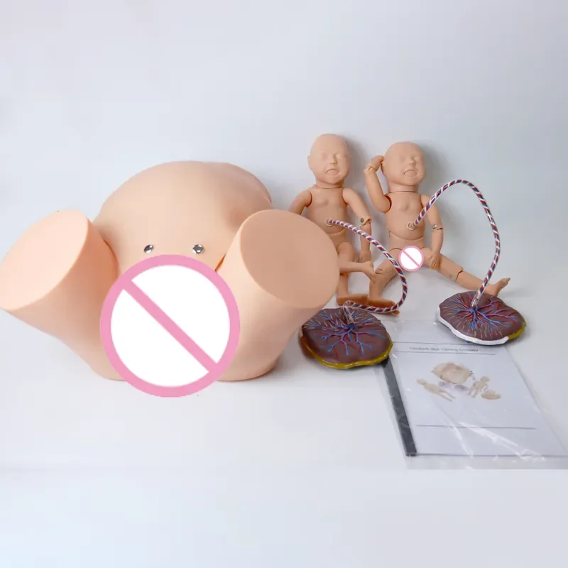 OEM Medical Science Gynecological Midwifery PVC Delivery Demonstration Simulator Maternity Childbirth Training