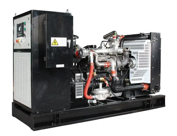 Gas Generator Set 10kw - 1000kw   with Nature  Biogas LPG for Electric Power