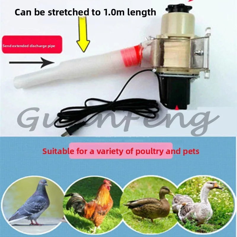 

Single-machine with Timed Automatic Chicken Feed Dispenser Funnel-type Pellet Feed Intelligent Automatic Poultry Feeding Device