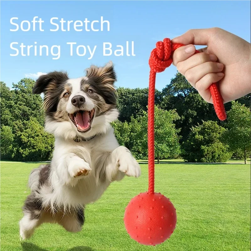 Thumbnail 3 - #17 Latest Puppy Fetch Toys Offers