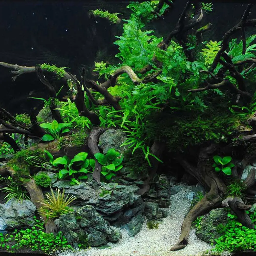 N1N งานศิลปะตกแต่งถังพื้นหลังสัตว์เลื้อยคลาน Aquarium ตกแต่งภูมิทัศน์ Driftwood ธรรมชาติ Trunk Plant Stump Cuckoo Root