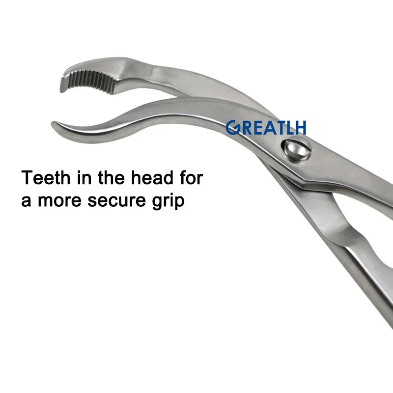 GREATLH Orthopedics Instruments Teeth in The Head Fora More Secure Grip Centering Bone Holding Forceps  Surgical Instrument pet