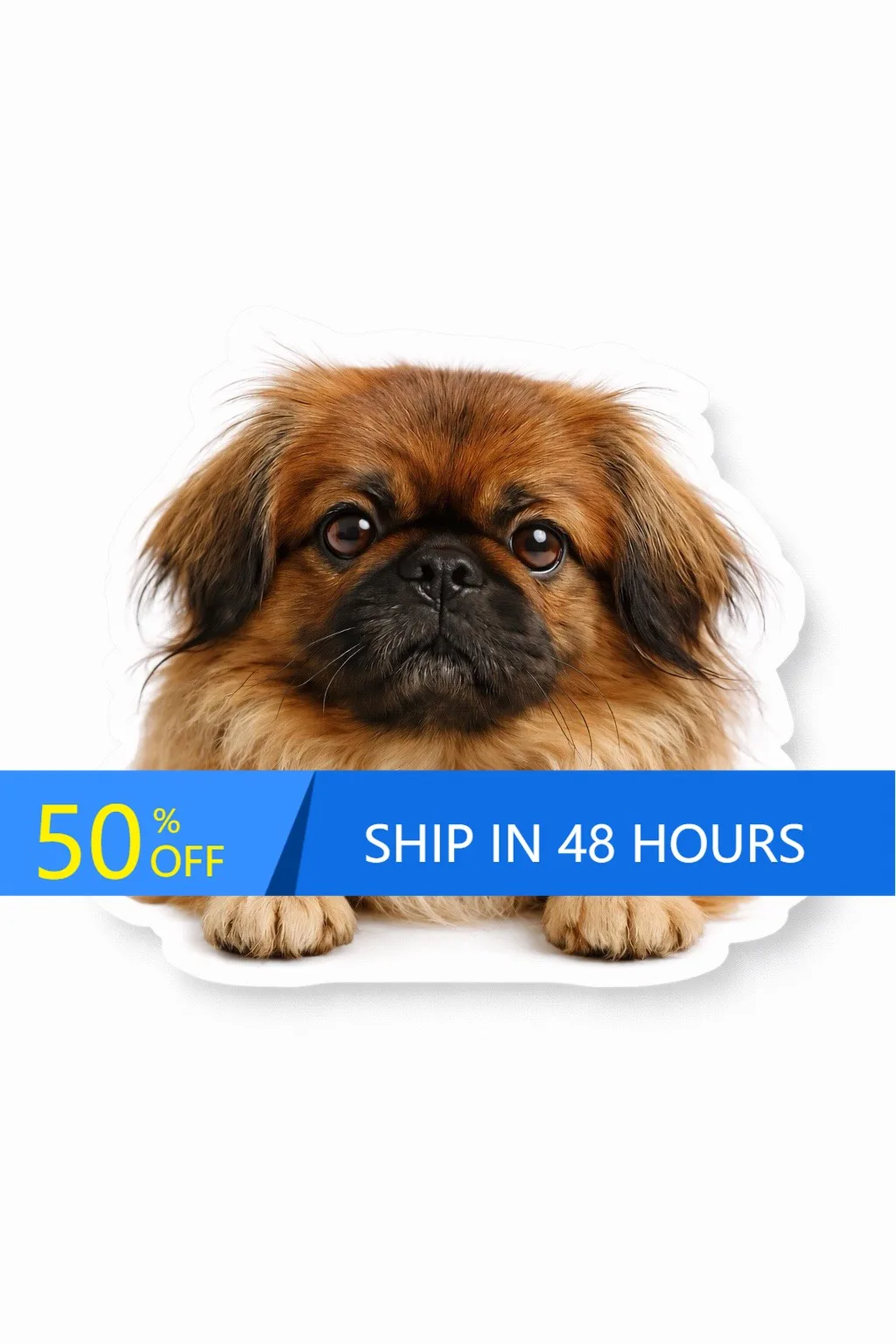 

Pekingese Dog Bully Water Aesthetic Laptop Walls Motor Home Car Decoration Retro Funny Cool