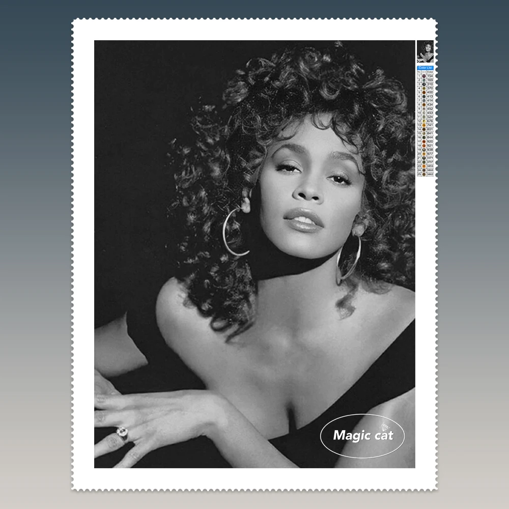 W-whitney H-houston 5D Diamond Painting Female Singer Black and White Photo DIY Diamond Embroidery Modern Home Decor Hand Gift