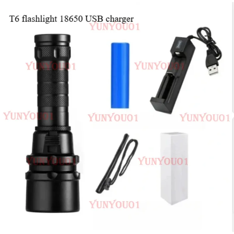 High Power White Light L2 Professional Deep Sea Underwater Lighting Diving Flashlight