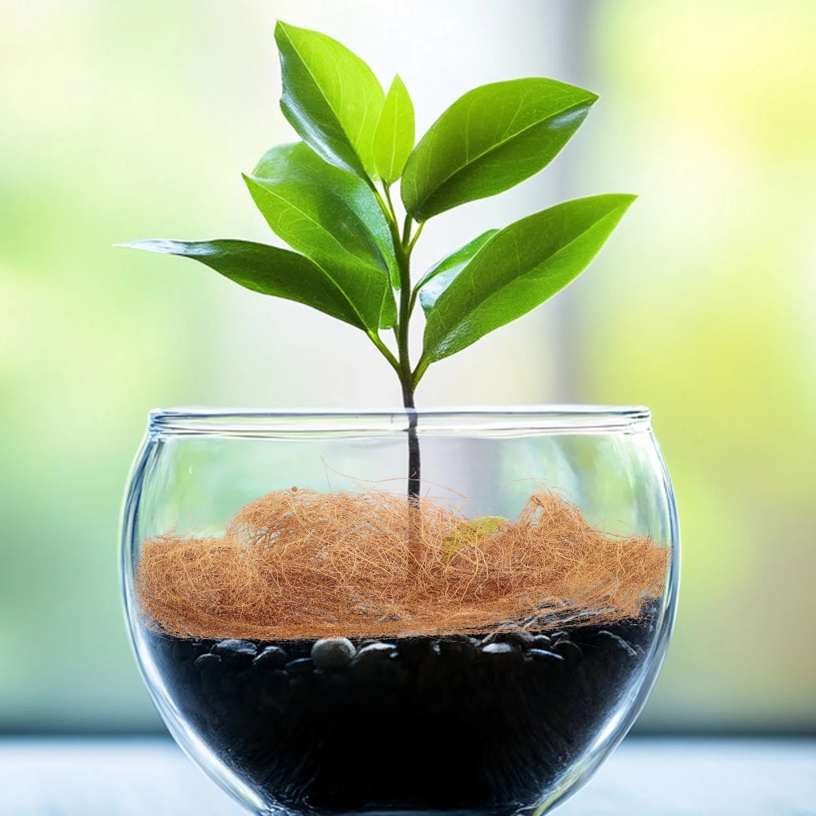 1 قطعة غطاء وعاء ألياف جوز الهند قابل للتحلل مقاومة الطقس الرطوبة الاحتفاظ حماية الصقيع لنباتات الحديقة الزهرية #6