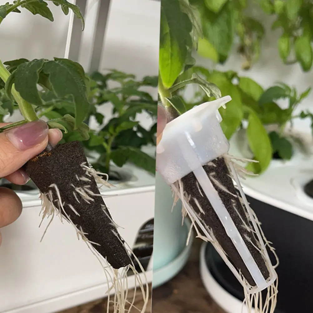 20Pcs Nutrient Blocks Soilless Cultivation Blocks for Hydroponics Planting Starter Garden Supplies Seed Germination