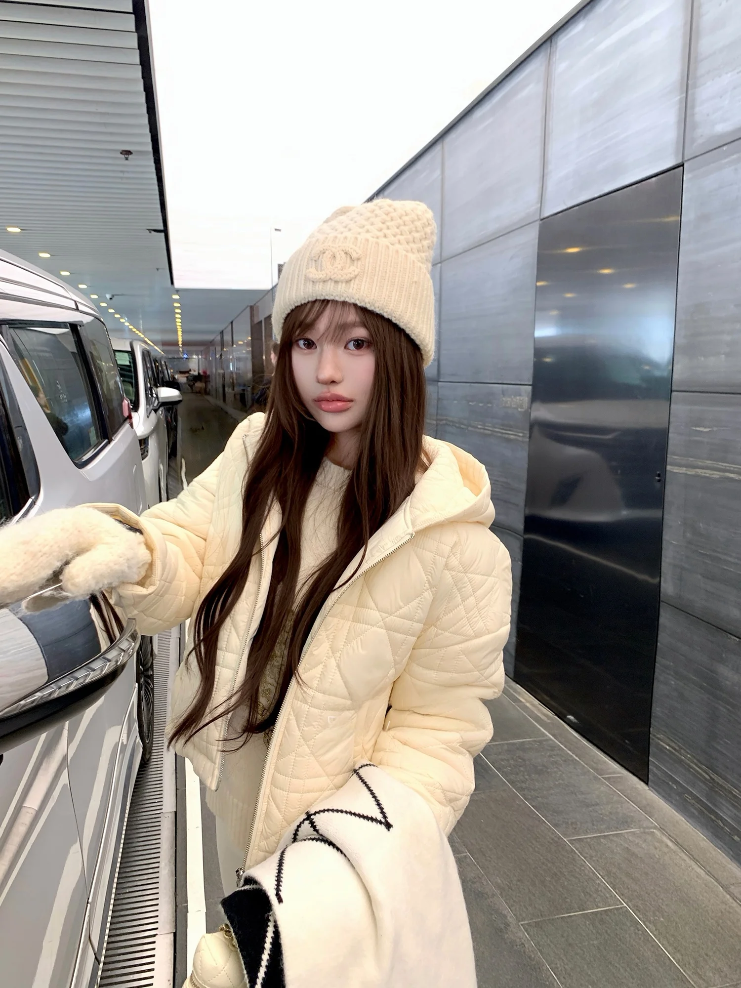 

Chien White Duck Quilted down Jacket Women's Thickened Cotton Sandwich Winter Coat Short Outerwear with Hood Commute Style