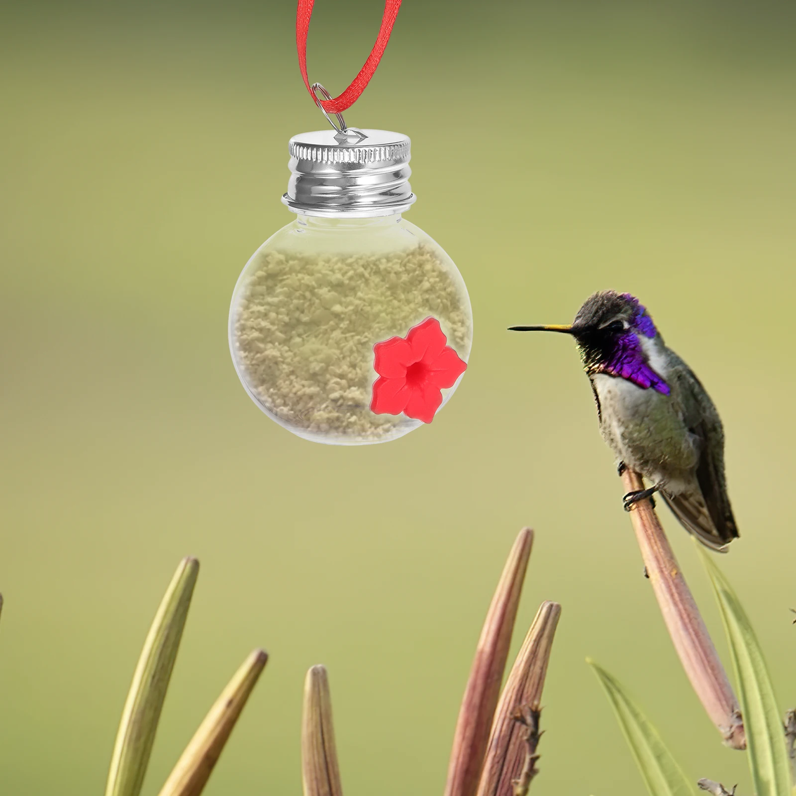 

Durable Transparent Hanging Feeder Outdoor Garden Balcony Patio Bird Food Dispenser Wear Resistant Easy Clean Safe Material