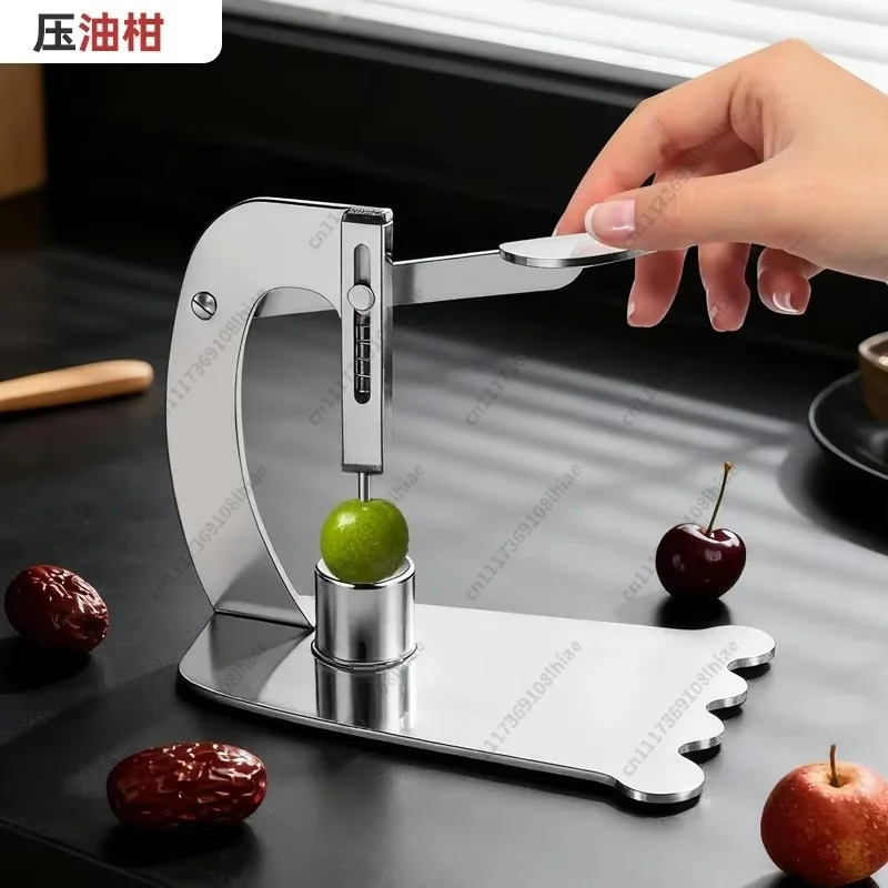 Stainless Steel Fruit Seed Remover, Core Pitter for Jujube Hawthorn Longan Olive Fruit