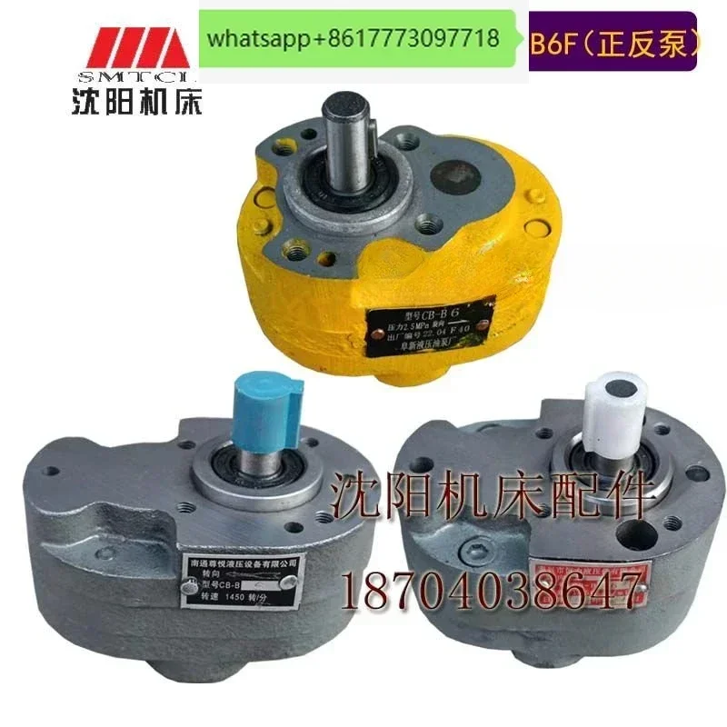 Shenyang Dalian CW6163CW6180 lathe supporting oil CB-B6 gear oil gear pump positive and negative pump