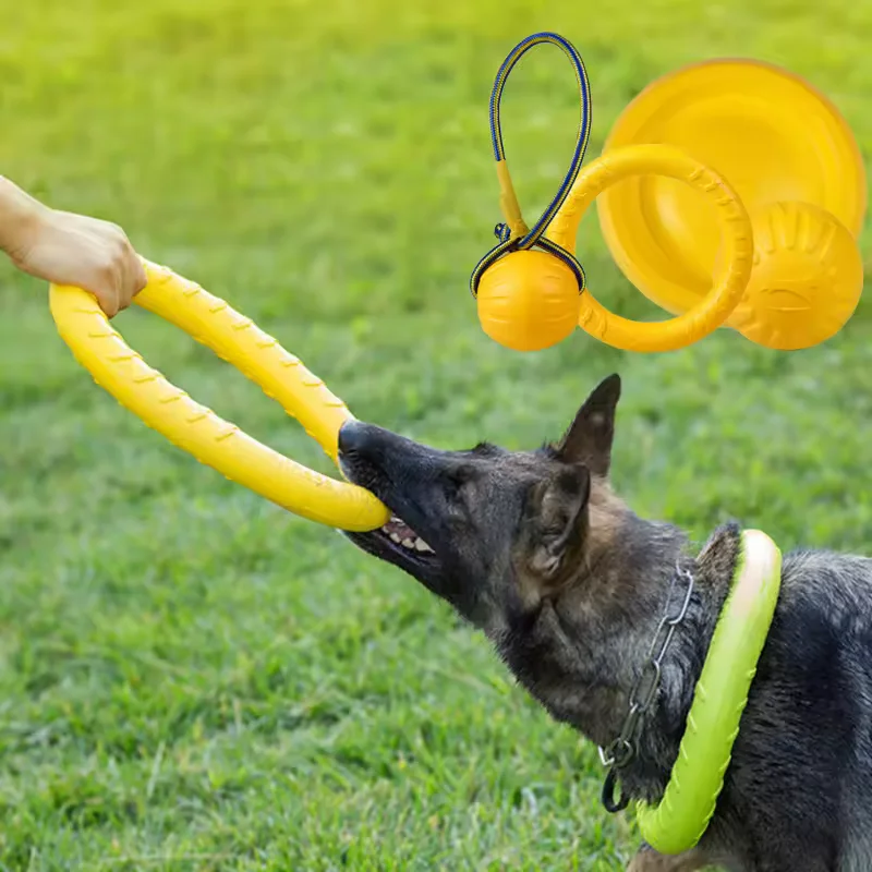 Juguete para perros resistente a mordeduras, frisbee circular, juguete para mascotas, juguete de cuerda para entrenamiento de perros al aire libre, pelota para masticar, productos para mascotas, juguete interactivo