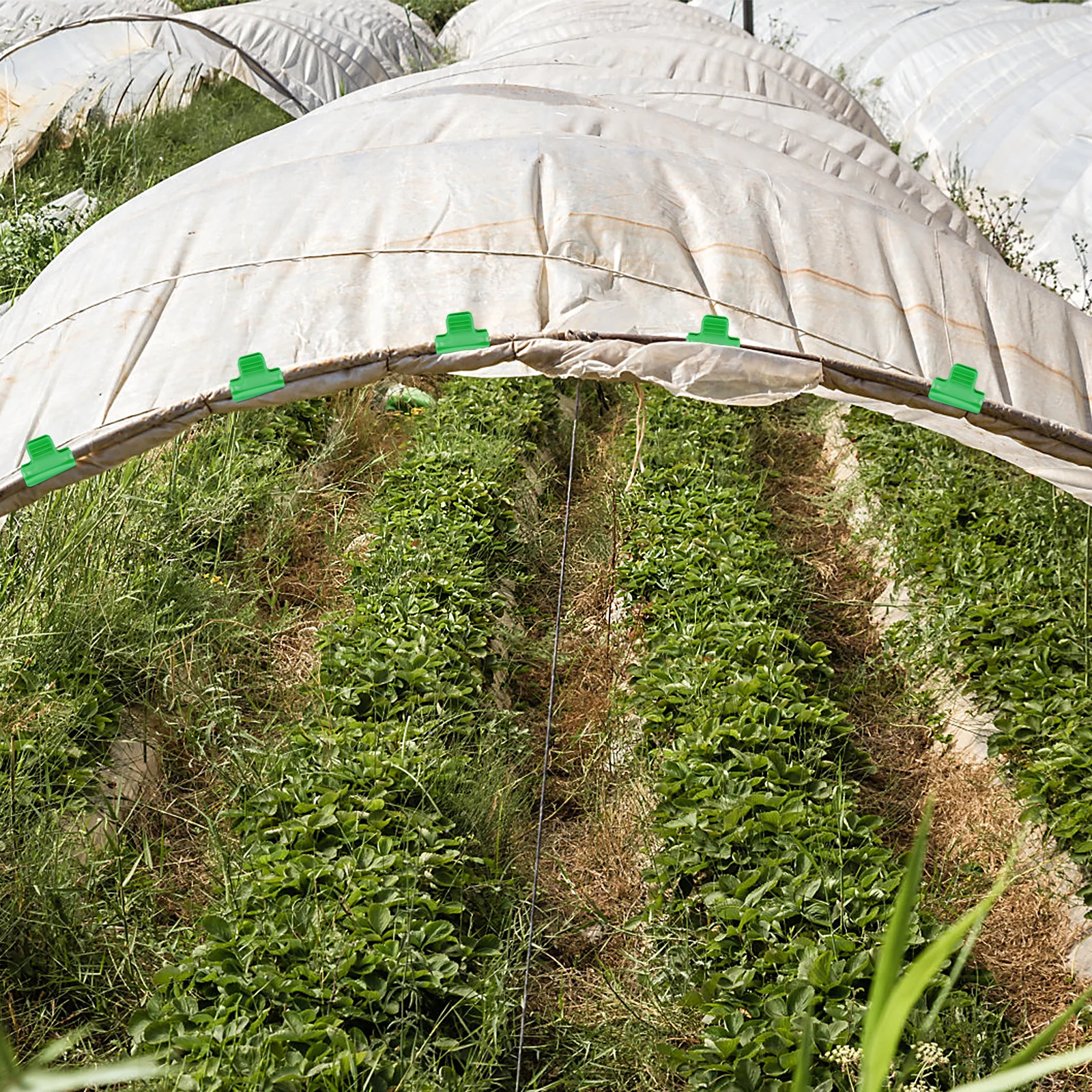 

20pcs Greenhouse Gardening Film Plastic Clamps Vegetable Netting Fix Shade Cloth Heavy Duty Row Cover Clips Garden Mesh Netting