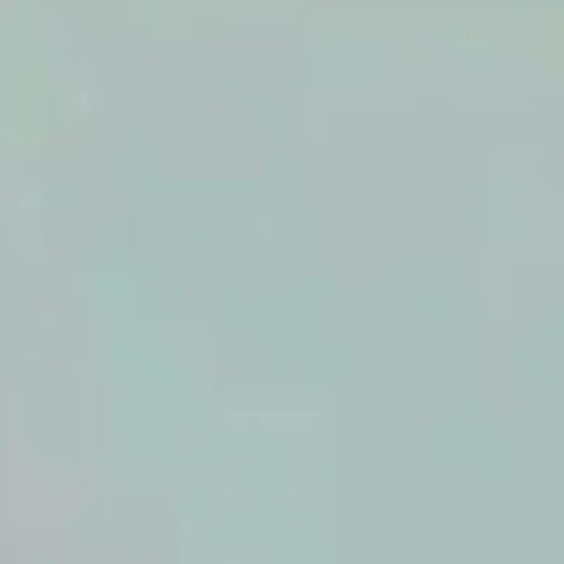 60PC Dental Ultra-Thin Whitening Veneers Resin Porcelain Materials Temporary Teeth Upper Anterior Whitening Dental Film(No Glue)