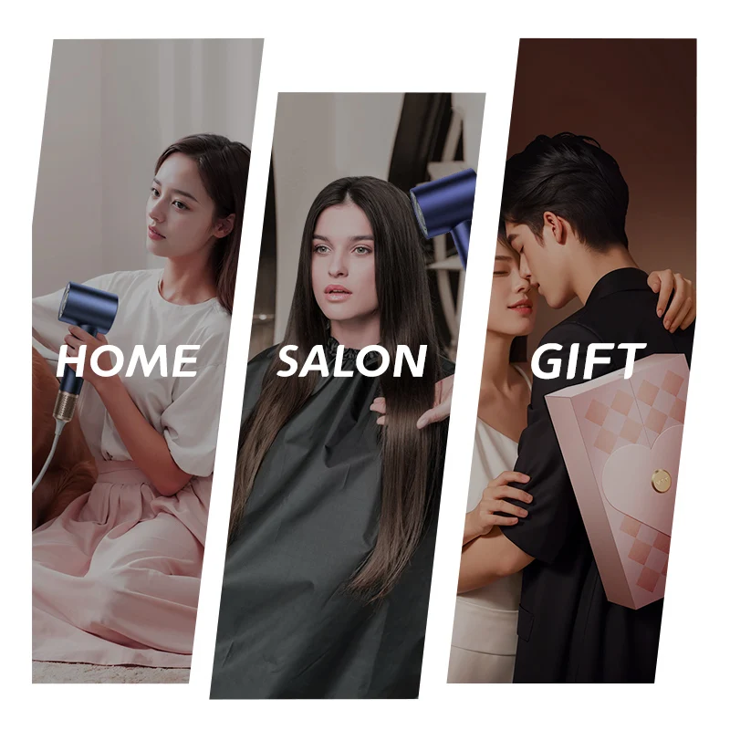 STLF High-Quality Professional Wall Mounted Hair Dryer Ionic Plastic Electric Hot/Cold Functions for Humans And Pets