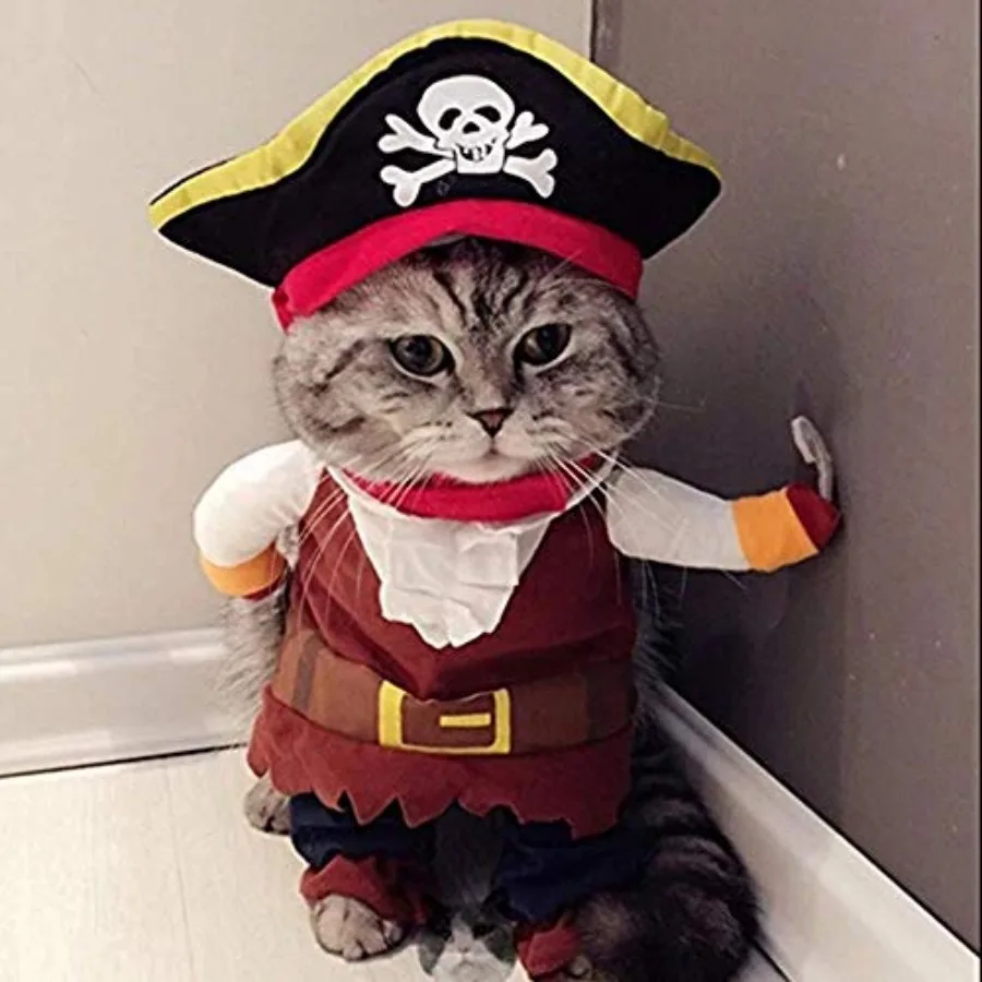 Nueva Ropa Divertida para Mascotas, Disfraz de Pirata para Perro o Gato, Traje de Corsario para Fiestas, Ropa para Perro o Gato con Gorro