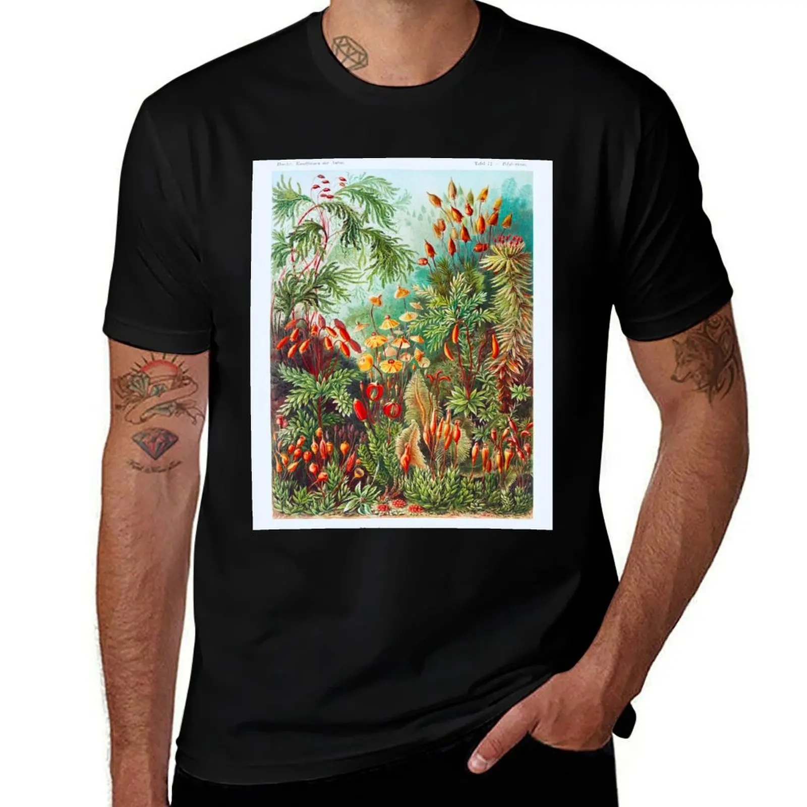 

Muscinae–Laubmoose / A. Giltsch, gem from Kunstformen der Natur (1904) by Ernst Haeckel. Original from Library of Congre T-Shirt