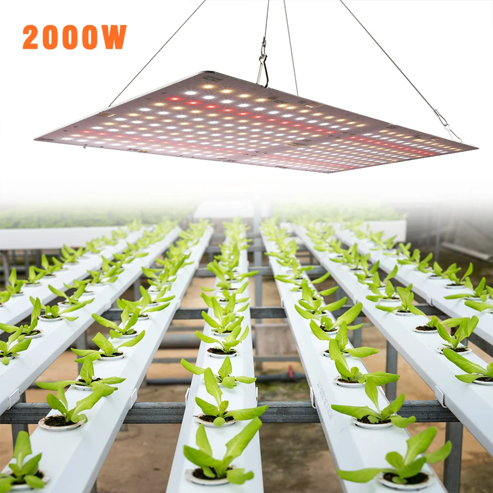 2000W Led Grow Light Ultrathin 288beads Full SpectrumSMD3030 Panel for Indoor Plants Flower Grow Tent Growbox with MW Driver