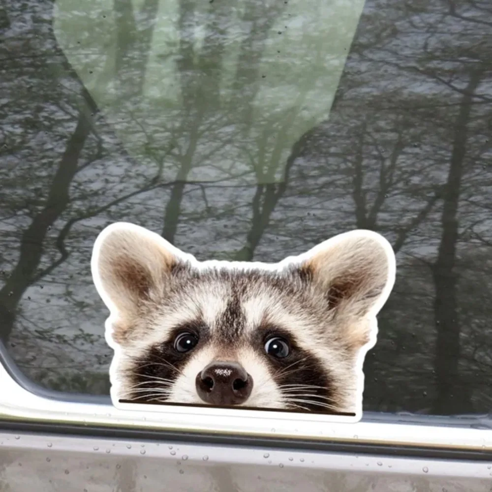 車の窓とリアのフロントガラス用のビニールステッカー,アライグマをのぞき見する,面白い車のステッカー,面白い動物の頭の顔の装飾,1個