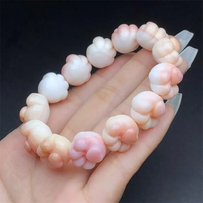 Natural Aliger Gigas Cat Shell Claws Bead Bracelet Women Men Handmade Stretch Rope Luxury Jewelry Energy Healing Gift