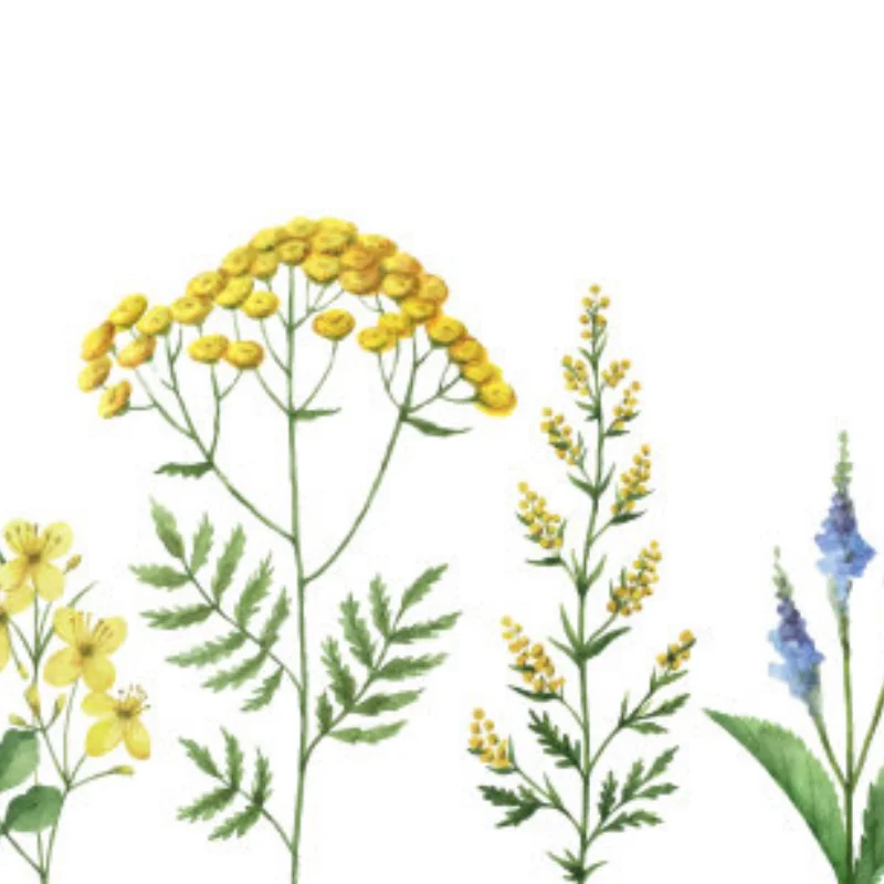 

MJX 1/12 H12Y H12Y+ Металлическая опора коробки передач для радиоуправляемого автомобиля — прочное алюминиевое усиление 6061, повышенная прочность