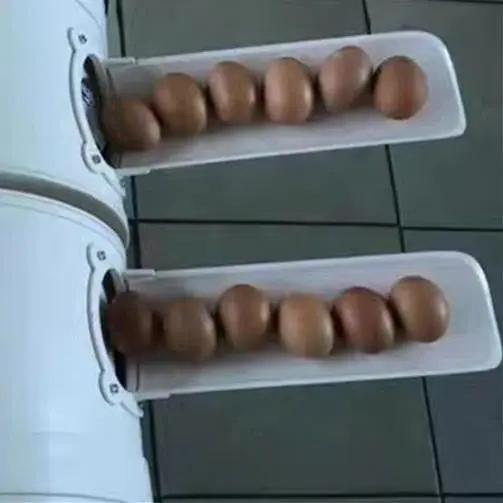 

Home Electric 220V Poultry Farm Egg Washing Machine Small Egg Washing Machine Chicken Duck Goose Egg Machine