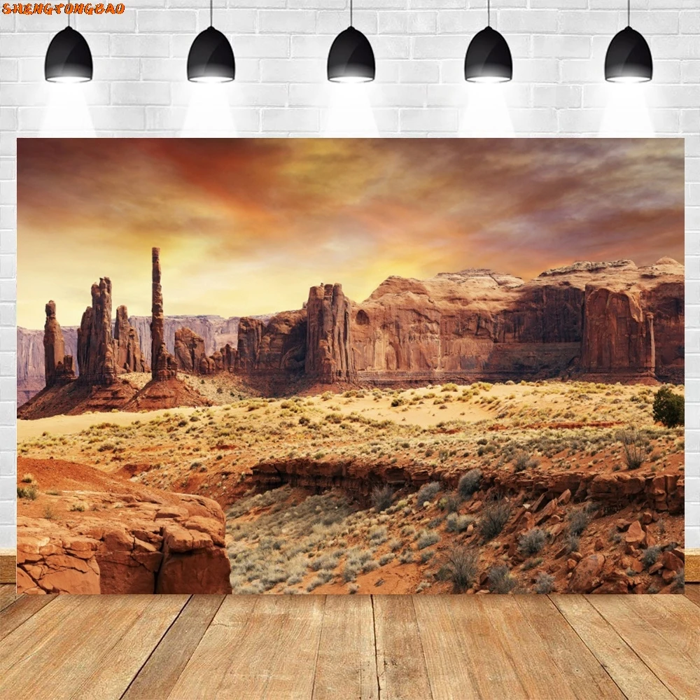 

Cactus Desert Sunset Scenery Background for Photography Saguaro Shrub Sandstone Mountain Natural Landscape Backdrop Photo Studio