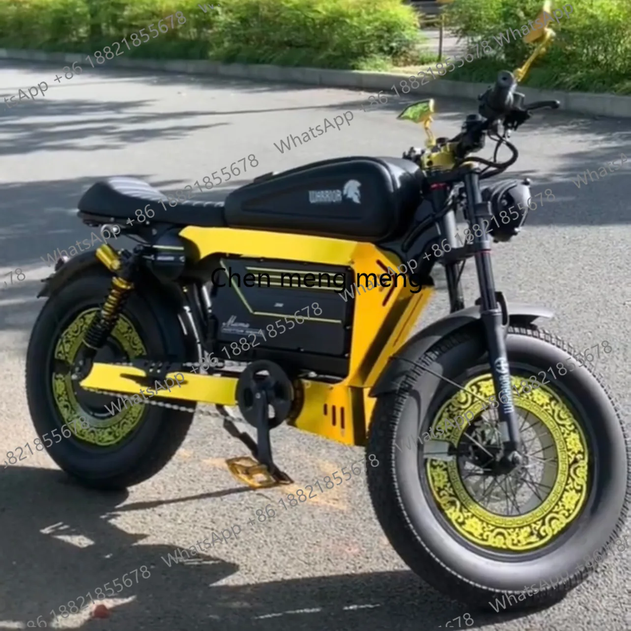 Electric Bike 20