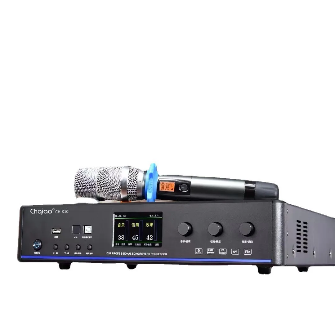 

CHK10 высокая мощность, передний и задний уровень, KTV-карта, динамик, караоке, конференция, аудиоусилитель, микрофон