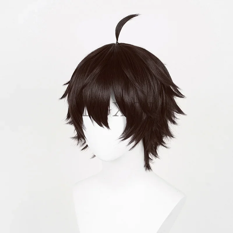 Perruques Cosplay de l'Anime Dan Heng pour Homme, Bonnet de Perruque, Cheveux de Degré de Chaleur, Noir et Marron, 30cm