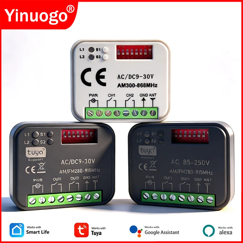 Universal 300-868MHz 433 868 MHz Tuya WIFI puerta de garaje receptor de Control remoto AC DC 9-30V 85-250V abridor de módulo de interruptor inteligente