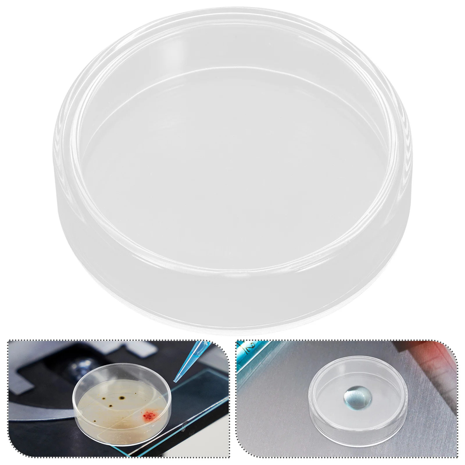 

10Pcs 60mm Glass Petri Dishes Lab Equipment Reusable Culture Plates with Lids Cell Tissue Growth Tools Glass Petri Dishes