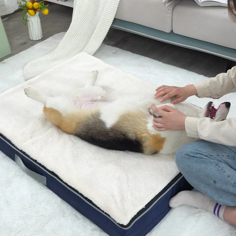 Thumbnail 4 - #3 Trending Orthopedic Pet Mattress Right Now