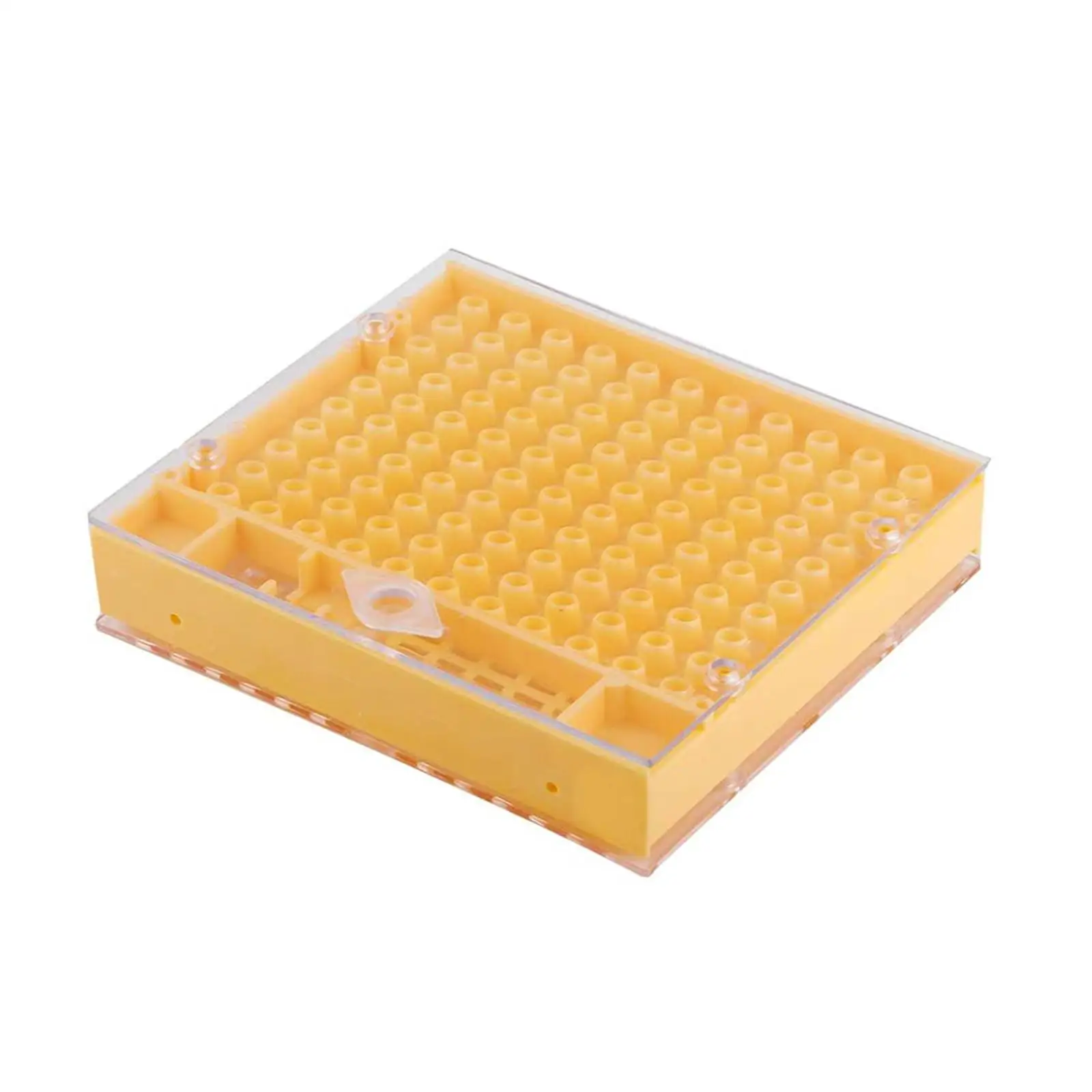 Queen Rearing Box Queen Bee Development Container Practical for Outdoor Gate