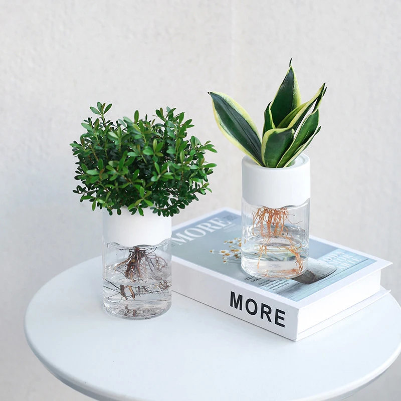 Mini vaso de flores hidropônico, vaso de decoração para casa, imitação de vidro transparente, vasos de plantas sem solo, vaso de plantas verdes para decoração de casa