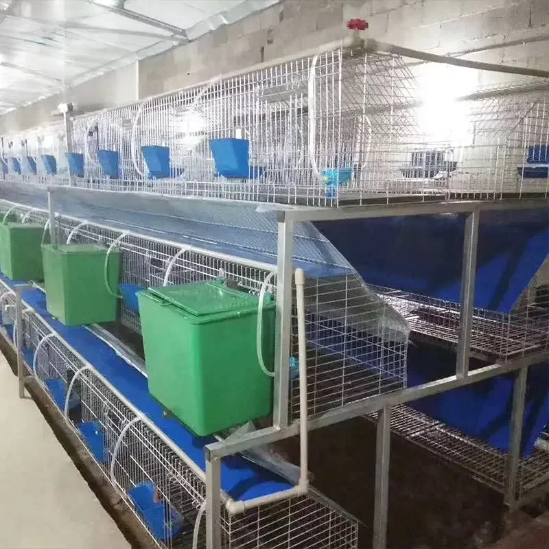 20 Sets of 3-Tier Rabbit Breeding Cages with 15-20 Years Lifespan - Odor-Free, High-Quality Rabbit Hutches for Breeding