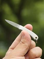 Stainless steel folding sharp fruit knife