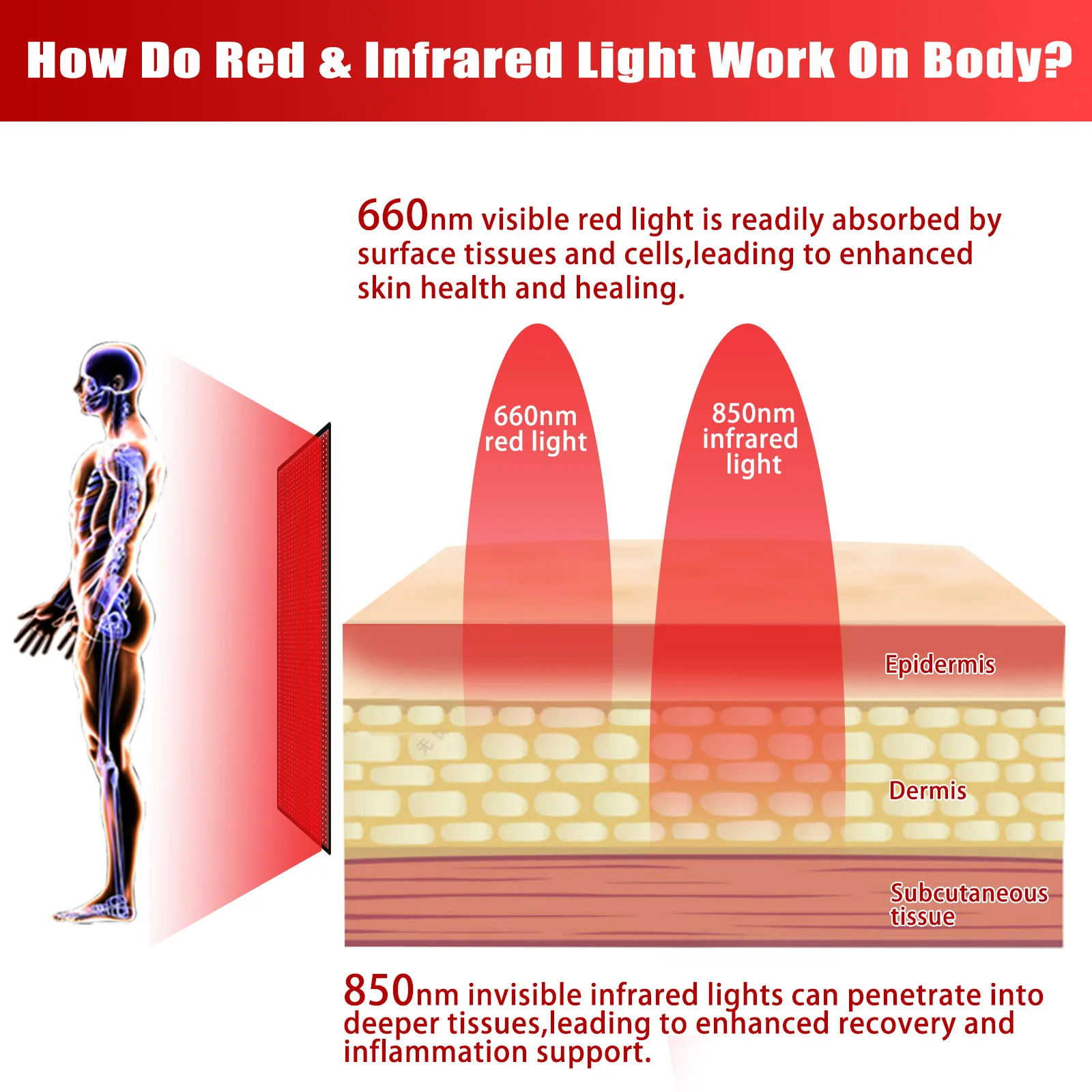 Red & Infrared Light Mat for Full Body,1260 PCS 660nm LED Red Light and 850nm Near-Infrared Light, Large Pad Home Laying