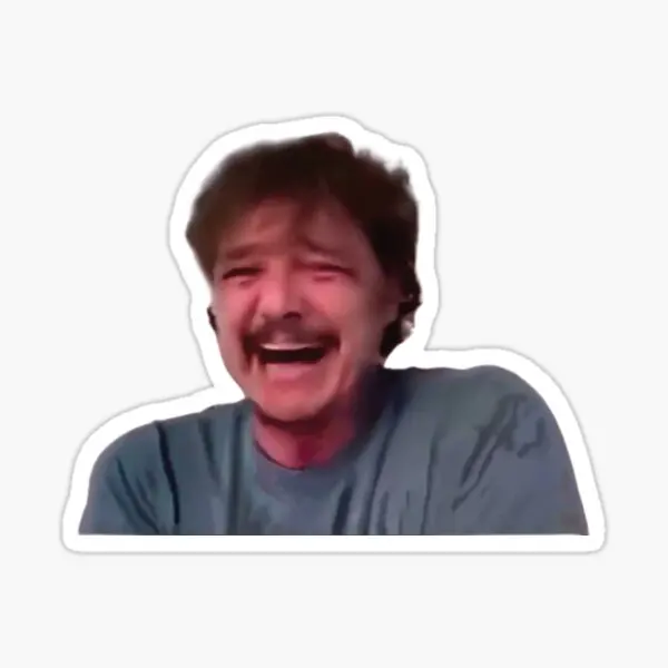 Pedro Pascal Crying Meme  10PCS Stickers for Cute Laptop Funny Decor  Decorations Home Window Car Print Bumper Art Water Bottles