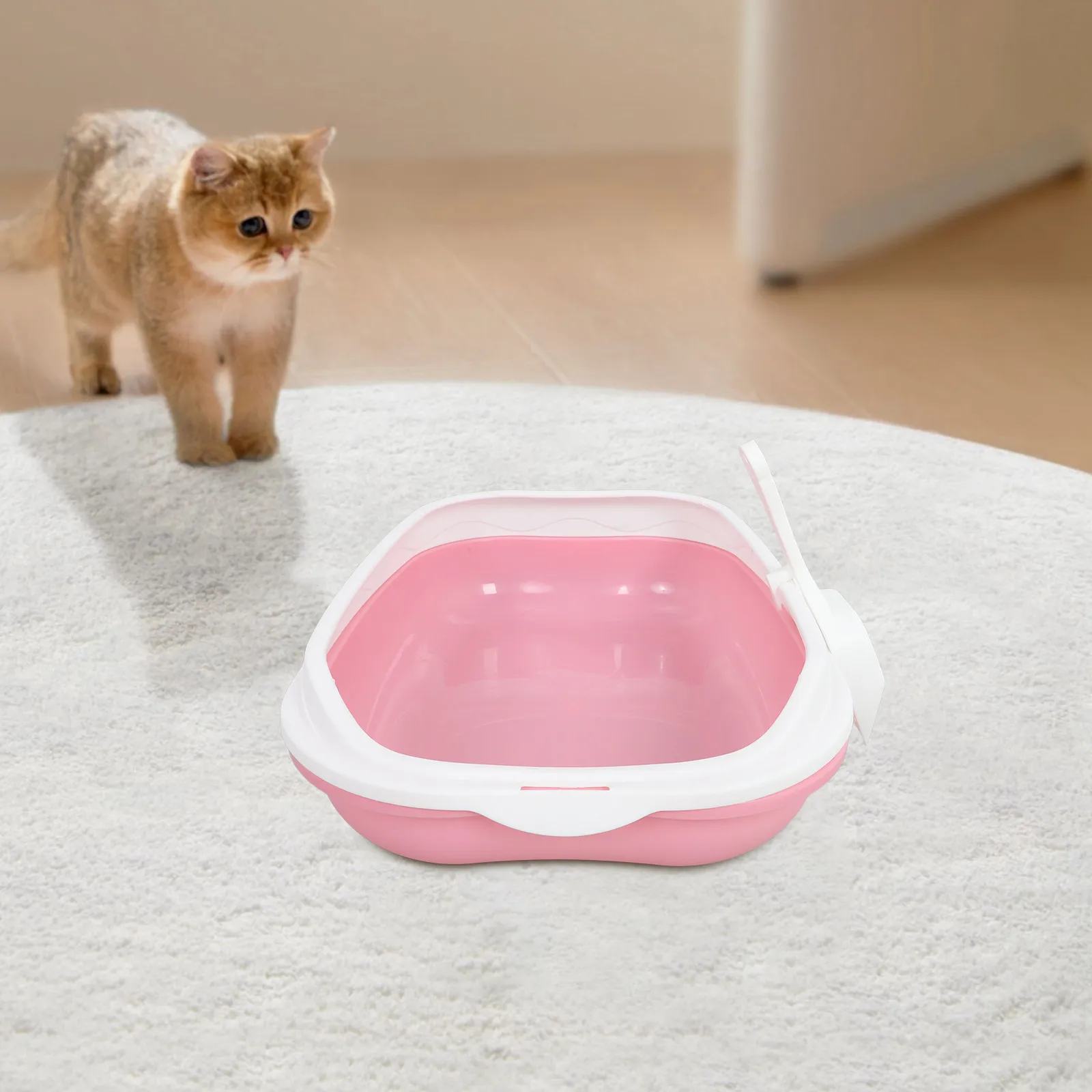 1Set Semi-Closed Cat Litter Box Anti-Splash Open Top Design Washable Cat Toilet for Kittens Small Cats Easy Clean Removable