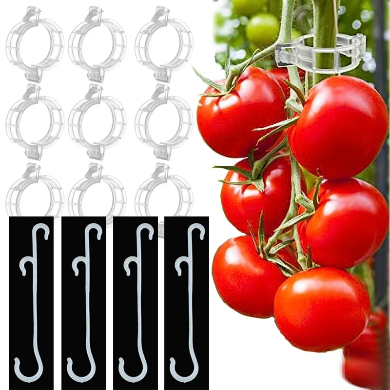 

50pcs Plant Supports Clips for Garden Tomato Vegetable Vines Upright Clip Reusable Gardening Supplies Grafting Fixing Tools